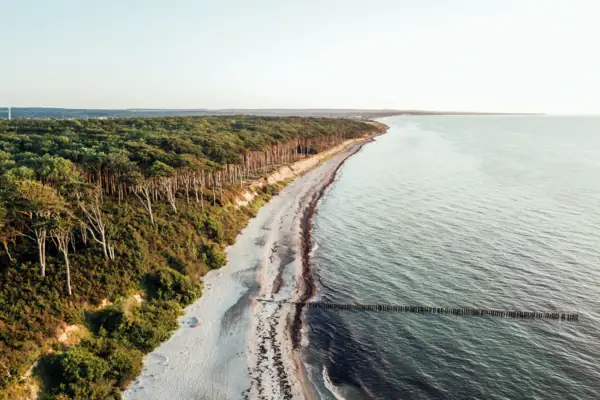 Beach and forest Beach with trees and water in the foreground.