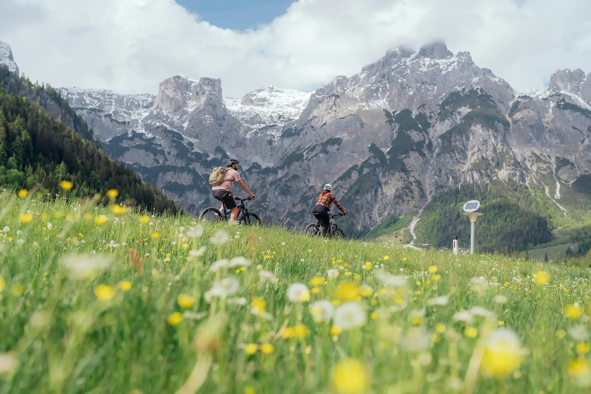 Cycling Two people are cycling through a field of flowers.