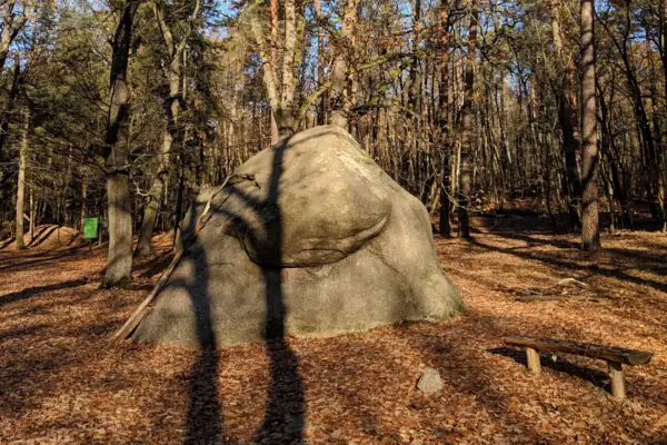 A large stone in a forest.