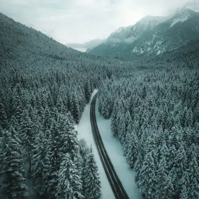 Road through a snow-covered forest