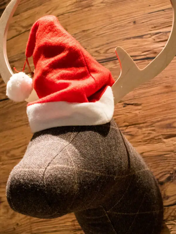 Christmas elk A stuffed moose head with a Christmas hat on the wall.