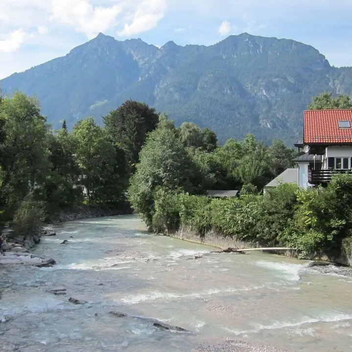 A river flows through a forest.