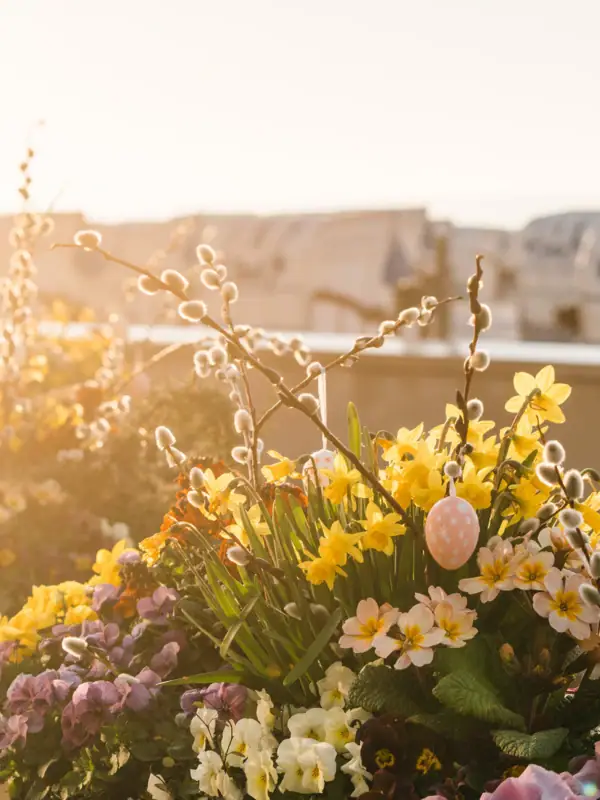A group of flowers with a white egg in the centre.
