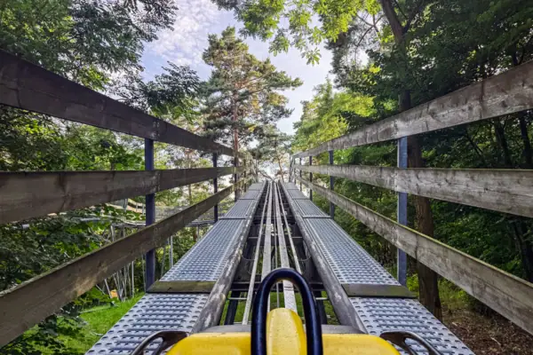 Bobsleigh track in the forest. The bobsleigh is travelling up the track, you can see the trees