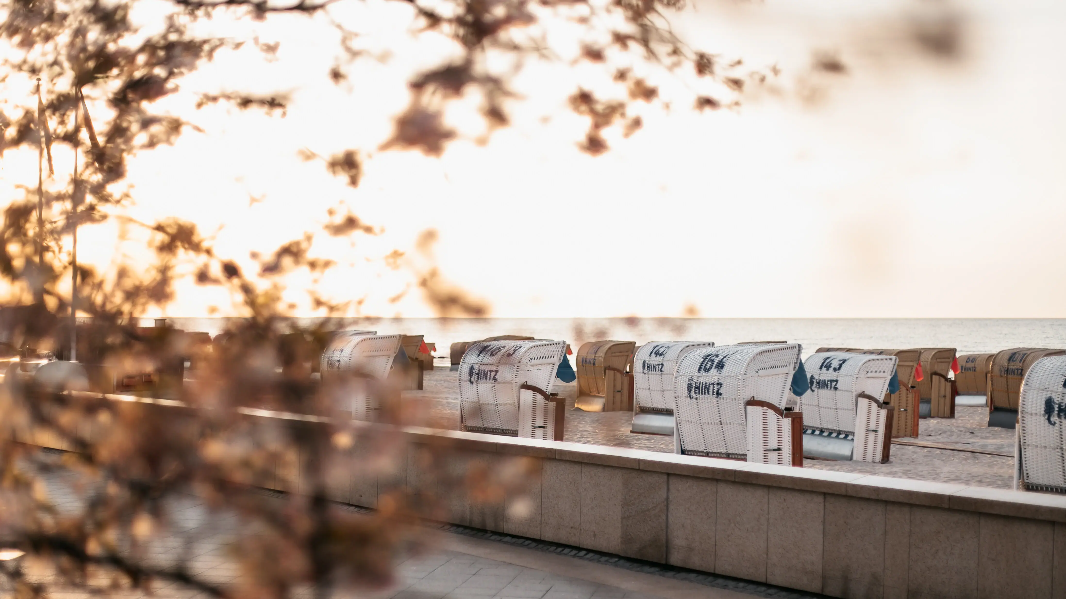 A row of white beach chairs with blue lettering.