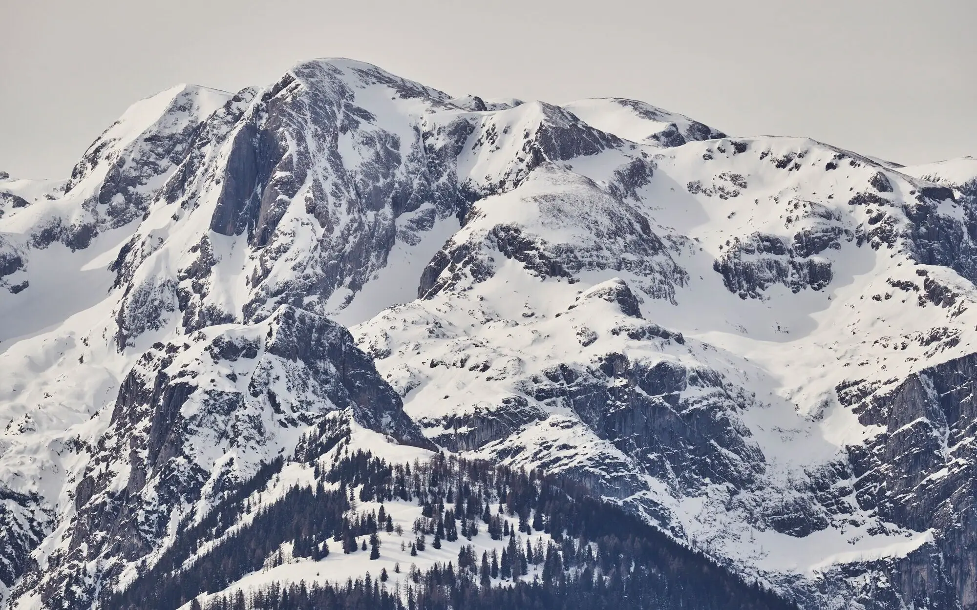 Snow-covered mountain with trees and a clear sky.