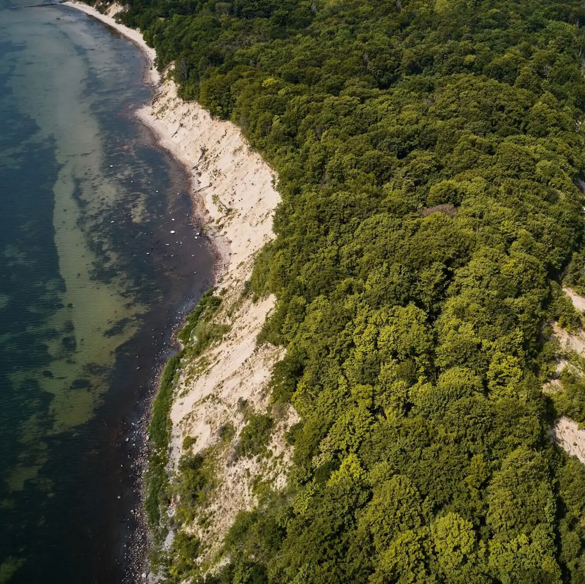Aerial view of Rügen Aerial view of a beach with neighbouring trees.