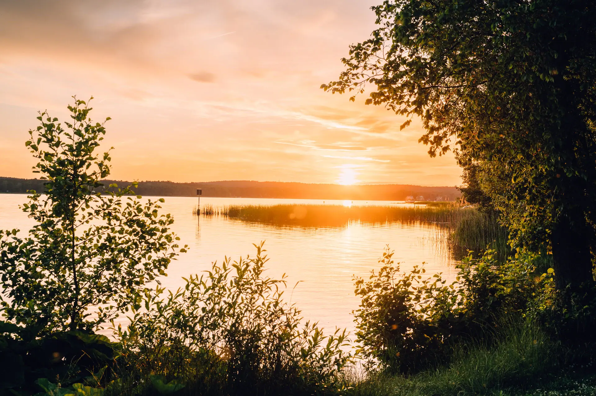Sunset over a lake with trees in the foreground.