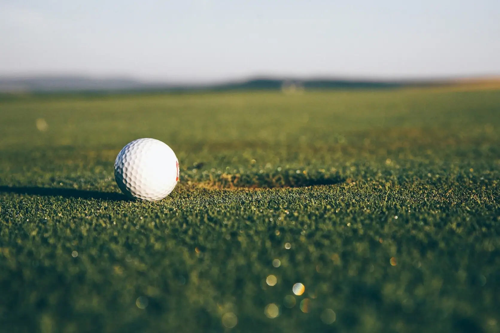 Golf ball on the grass