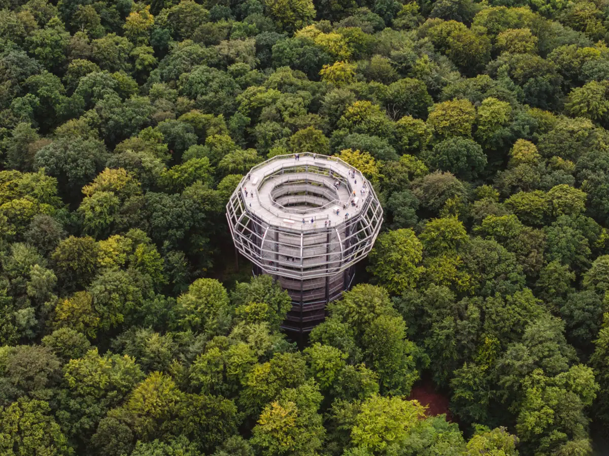 A tower in the middle of a forest.