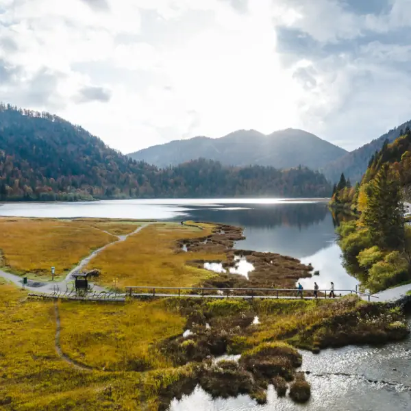 The Ruhpolding Three Lakes Region A lake with grass and trees in the background.