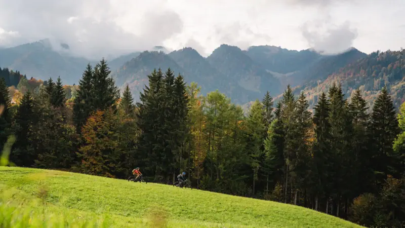 Holidays in the Alps A person riding a bike on a grassy hill with mountains in the background.