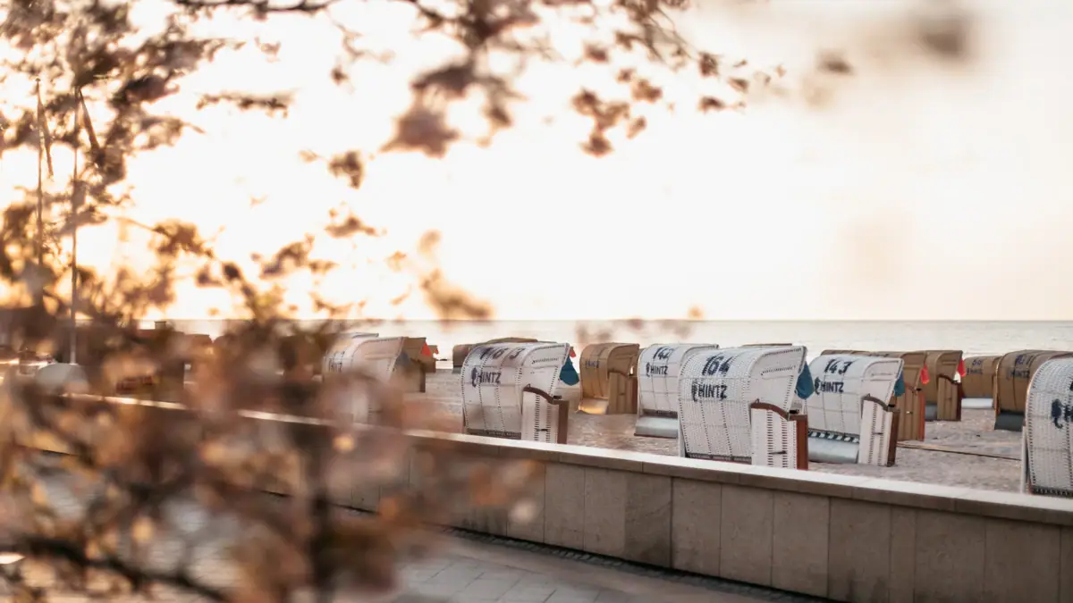 A row of white beach chairs with blue lettering.