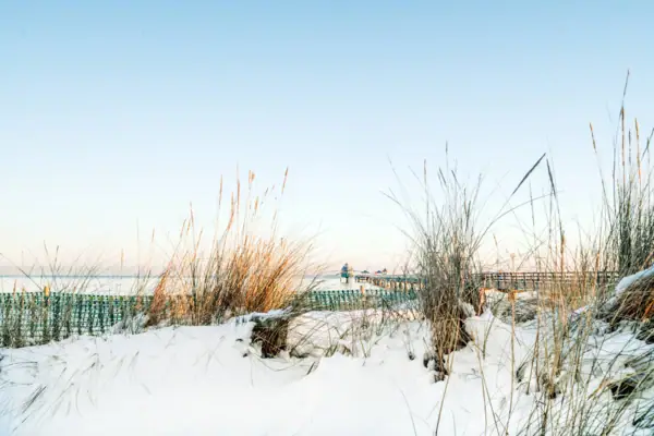 Grömitz in the snow Snow-covered ground with tall grass and a pier in the background.
