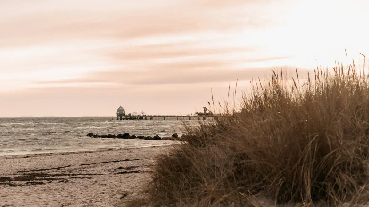 A beach with a jetty and grass in the foreground.