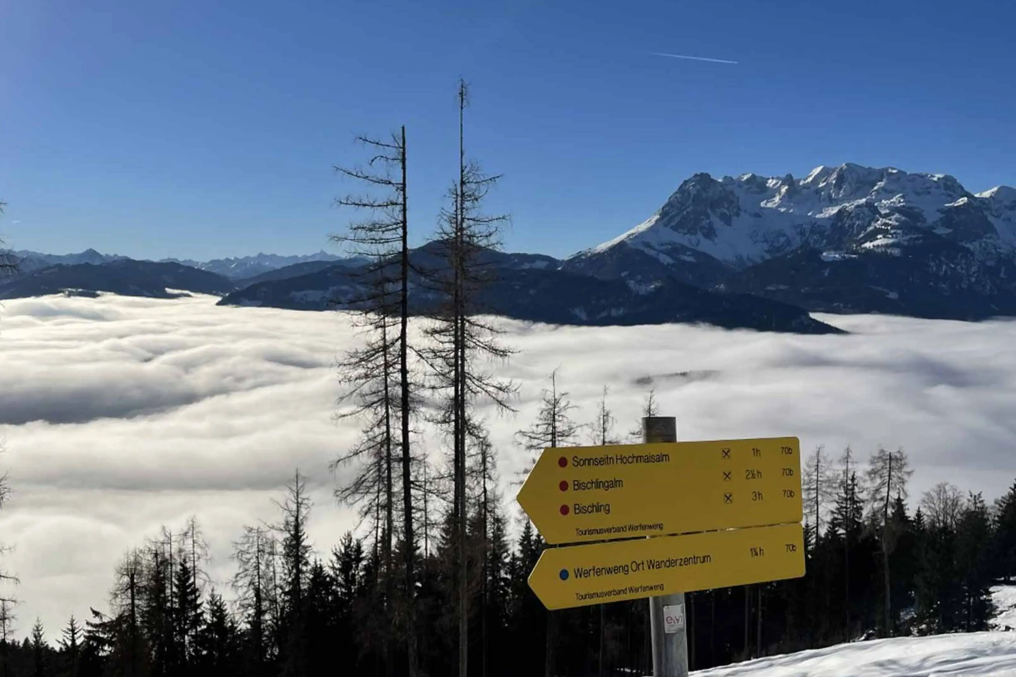 Signpost on a snow-covered mountain with trees and mountain scenery in the background.