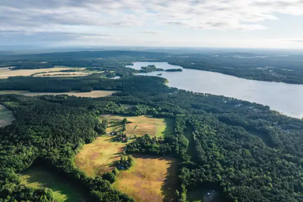 Aerial view of the lake and a forest with a field.