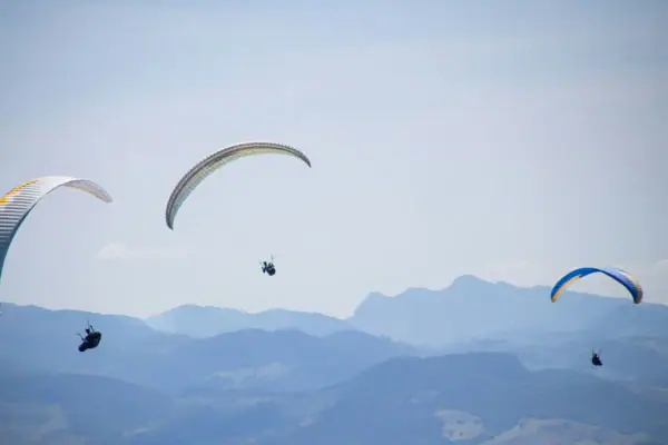 A group of people paragliding in the sky.