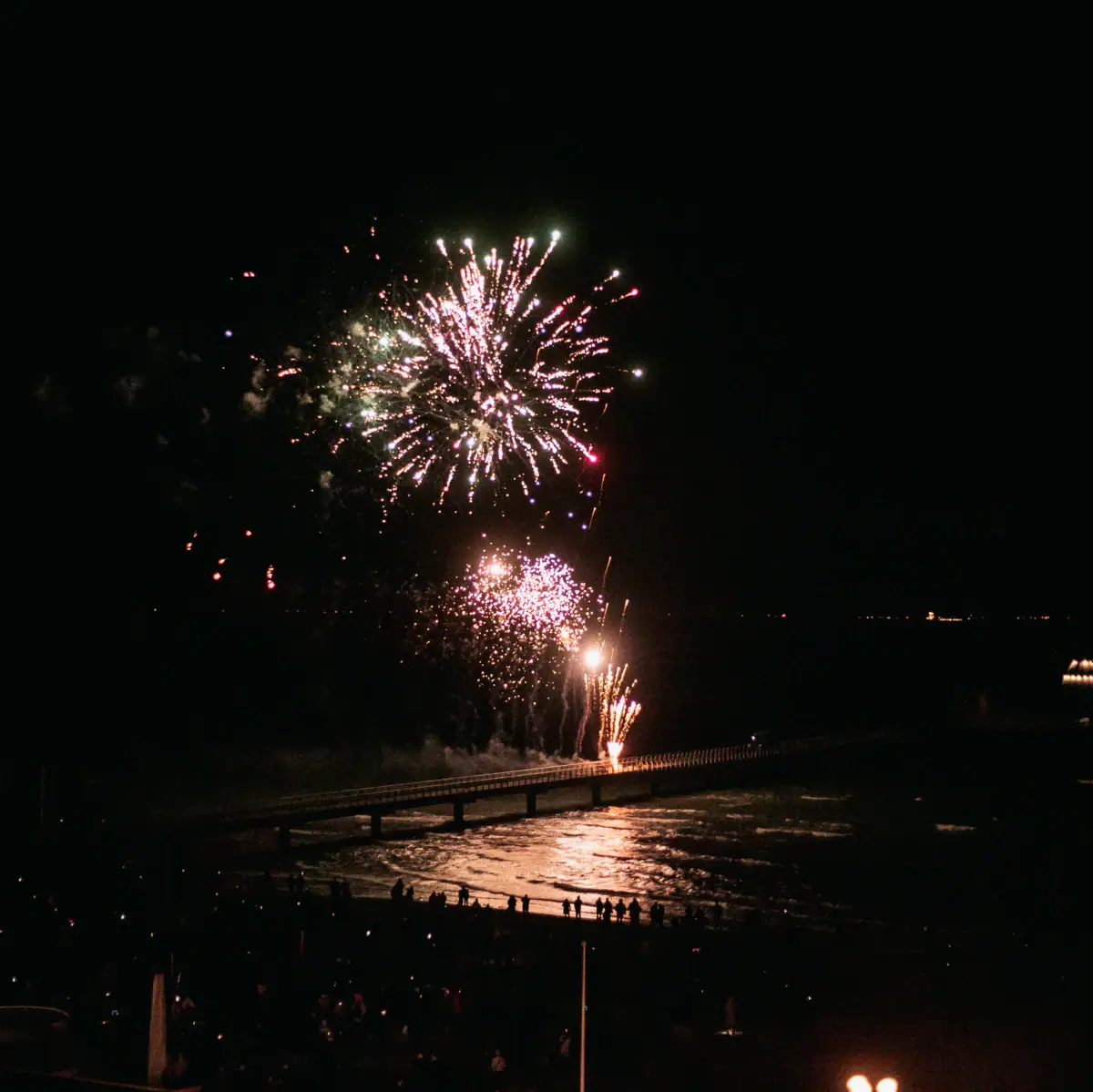 Fireworks in the night sky