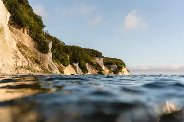 Cliff with trees by the water outdoors