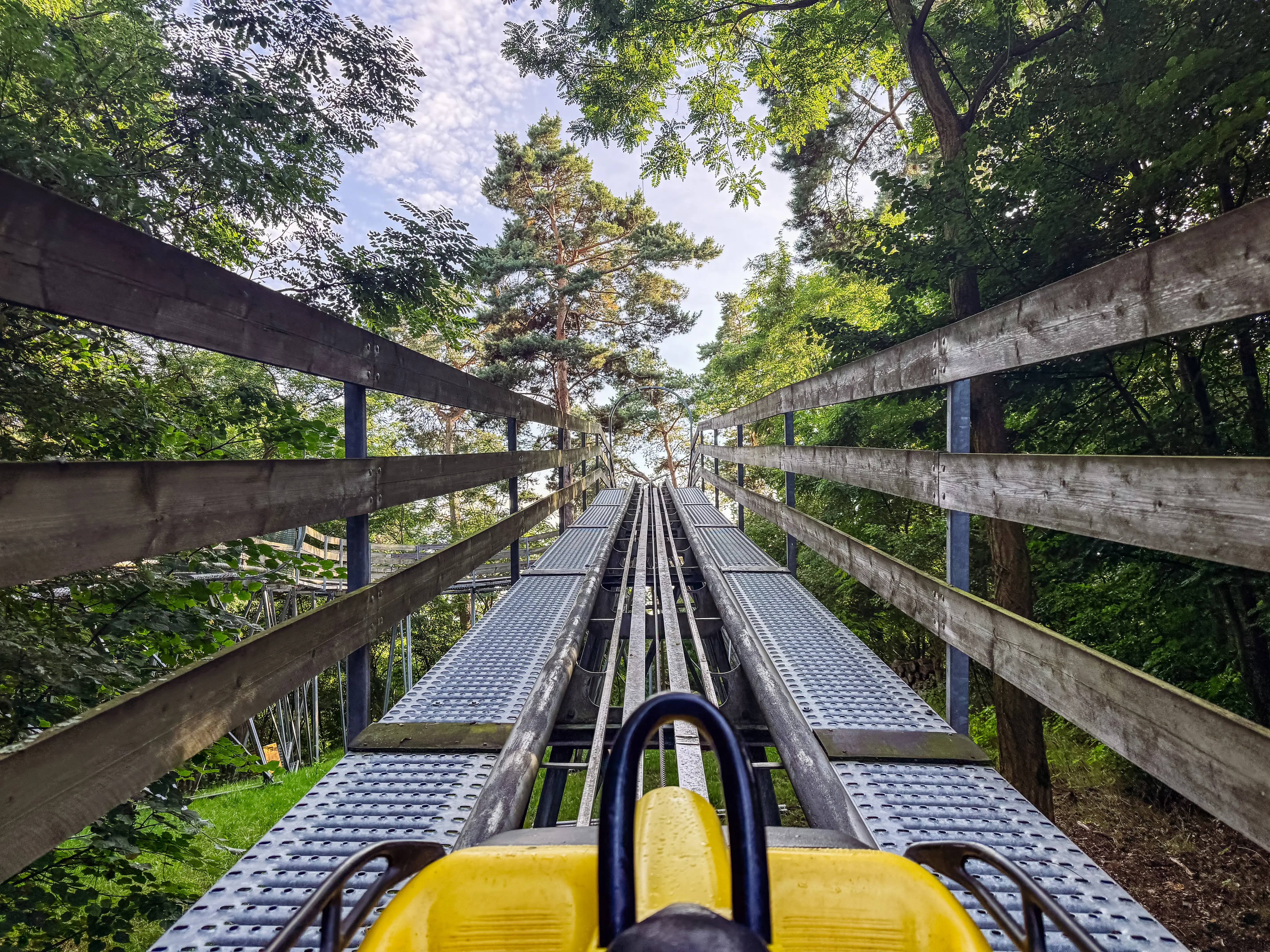 Bobsleigh track in the forest. The bobsleigh is travelling up the track, you can see the trees