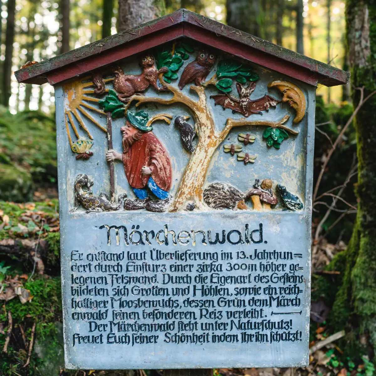 A sign in the forest.