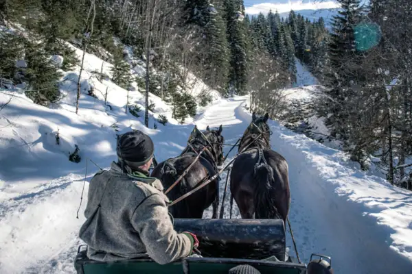 Group of people travelling in a horse-drawn carriage through a snowy landscape.