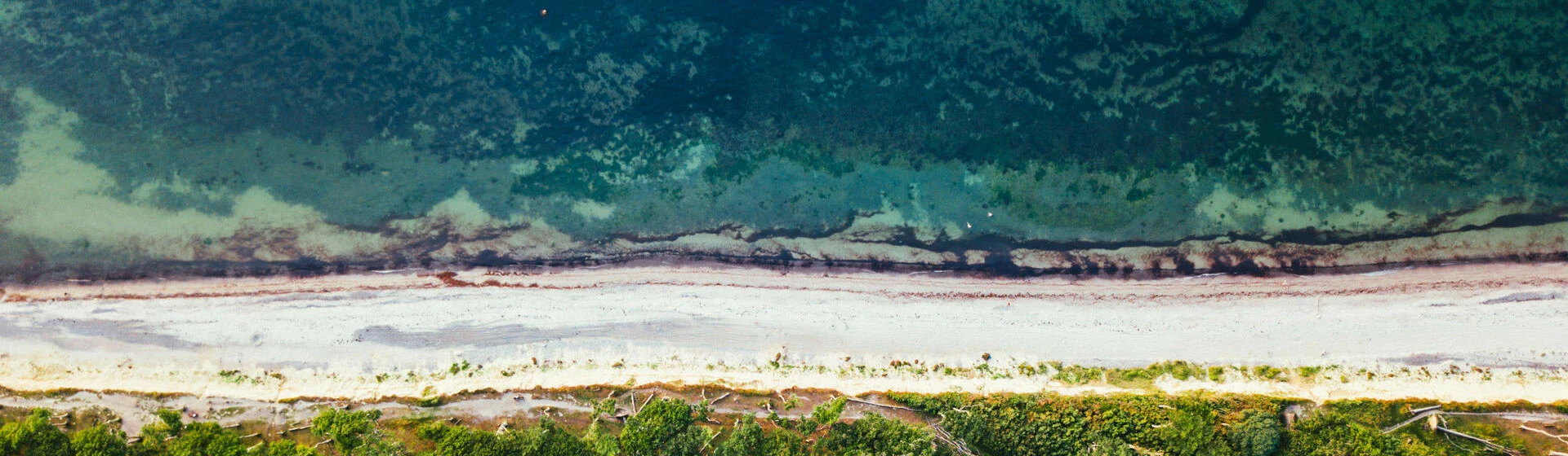 Aerial view of a section of beach.