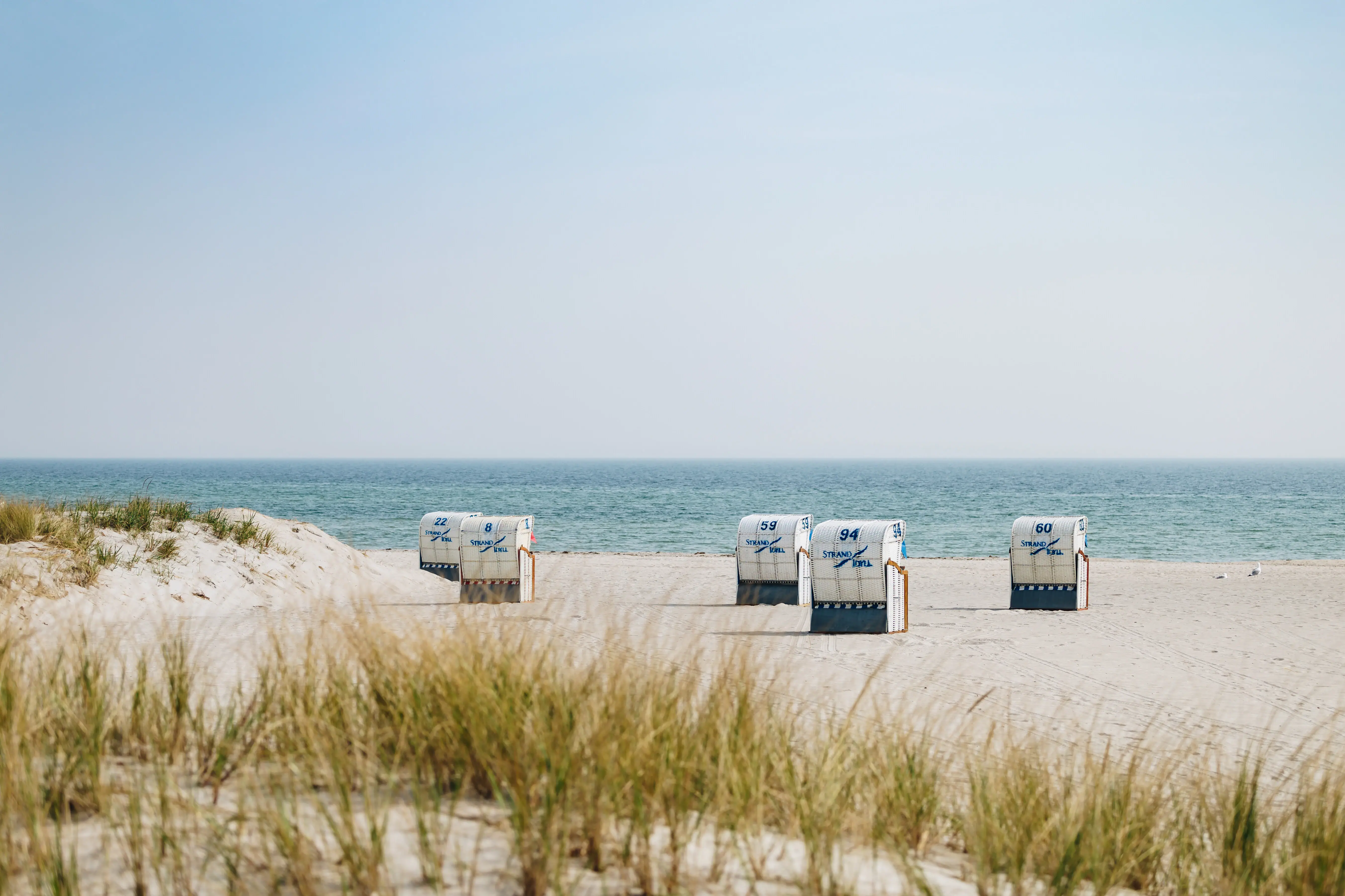 A group of white beach chairs on the beach.