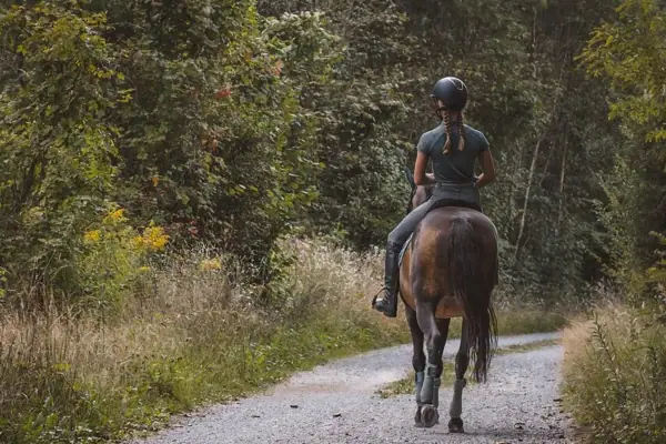 A woman rides a horse on a path.