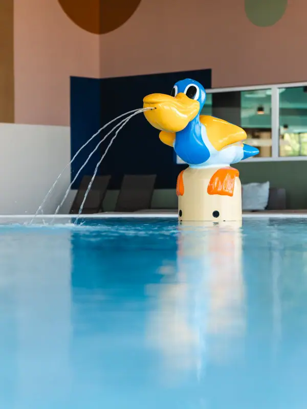Duck swims in the pool and spits water.