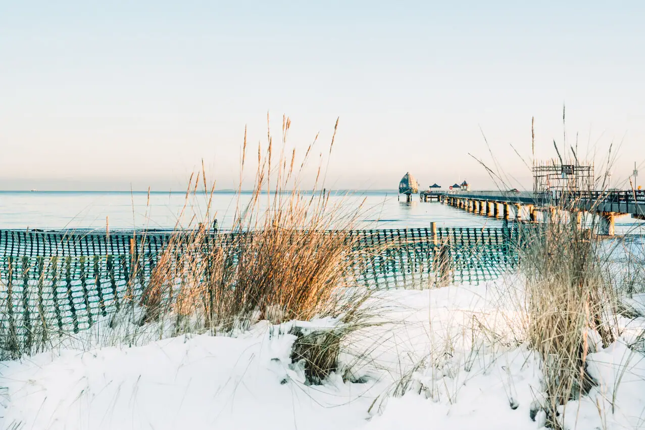Snow-covered beach with jetty and grasses in winter.