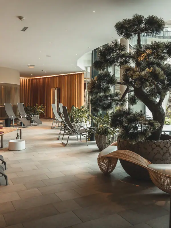 SPA area A room with a tree and chairs.