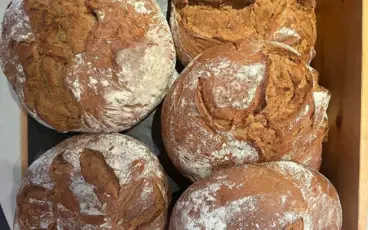 A group of loaves, including sourdough and wholemeal breads.