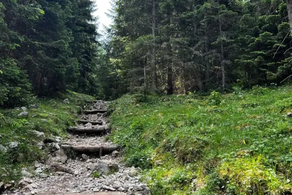 Stone steps lead to a grassy hill with trees.