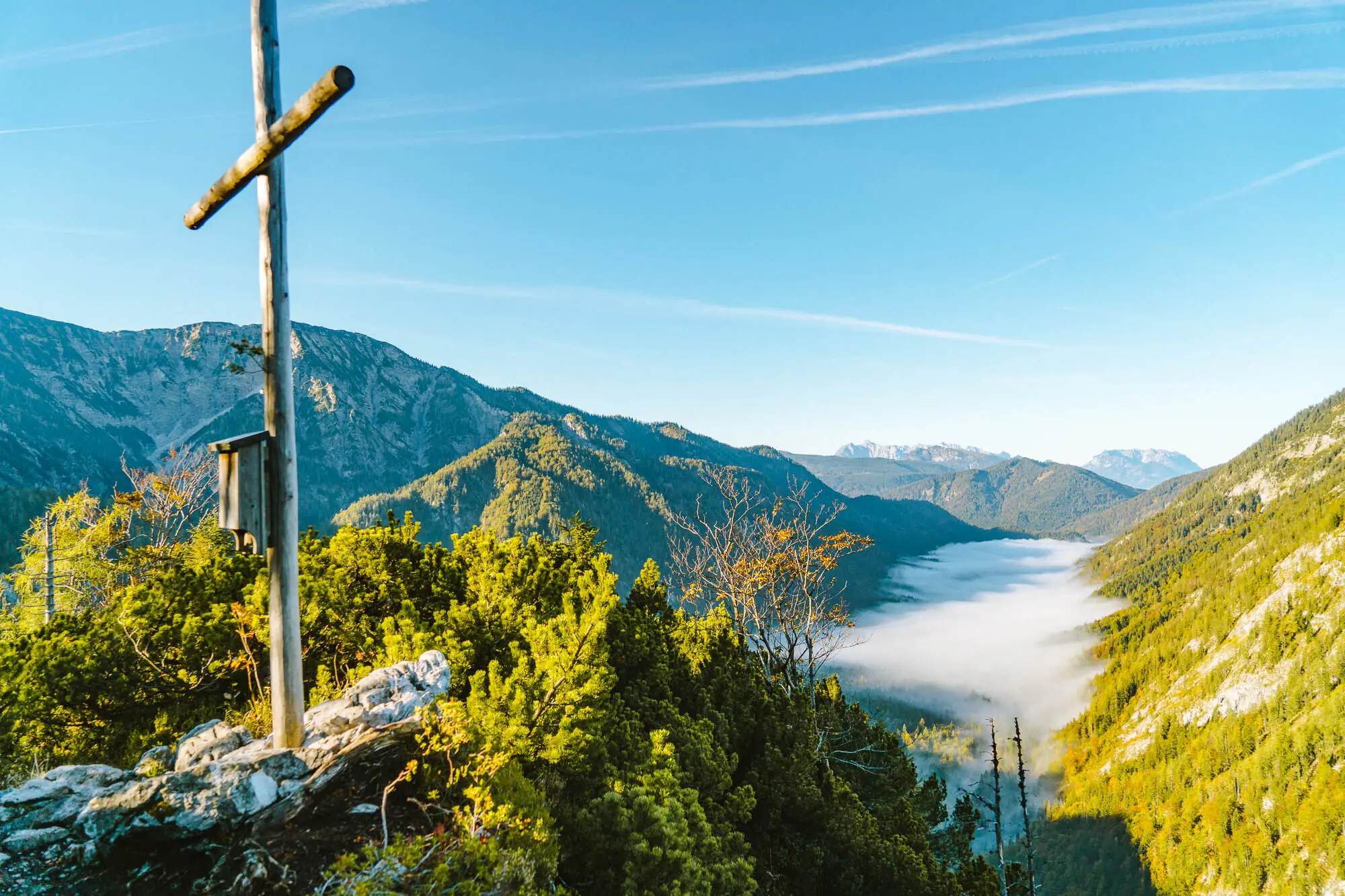 View of a valley with trees and mountains in the background.