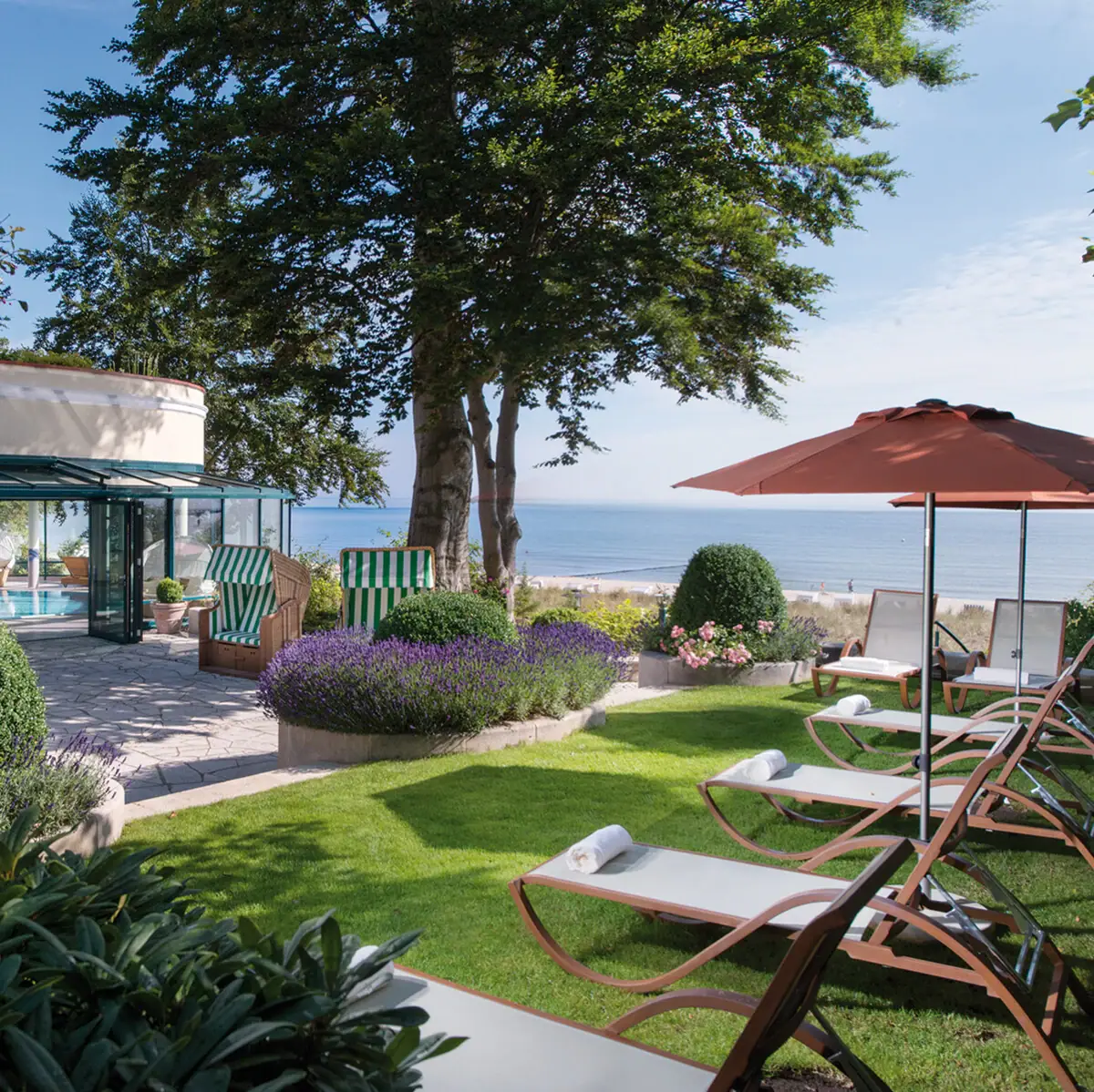 Lawn chairs and a pool next to a building with surrounding trees and plants.