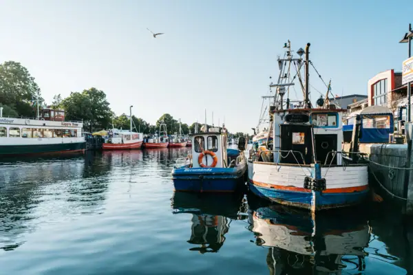 Boats in the harbour on the water