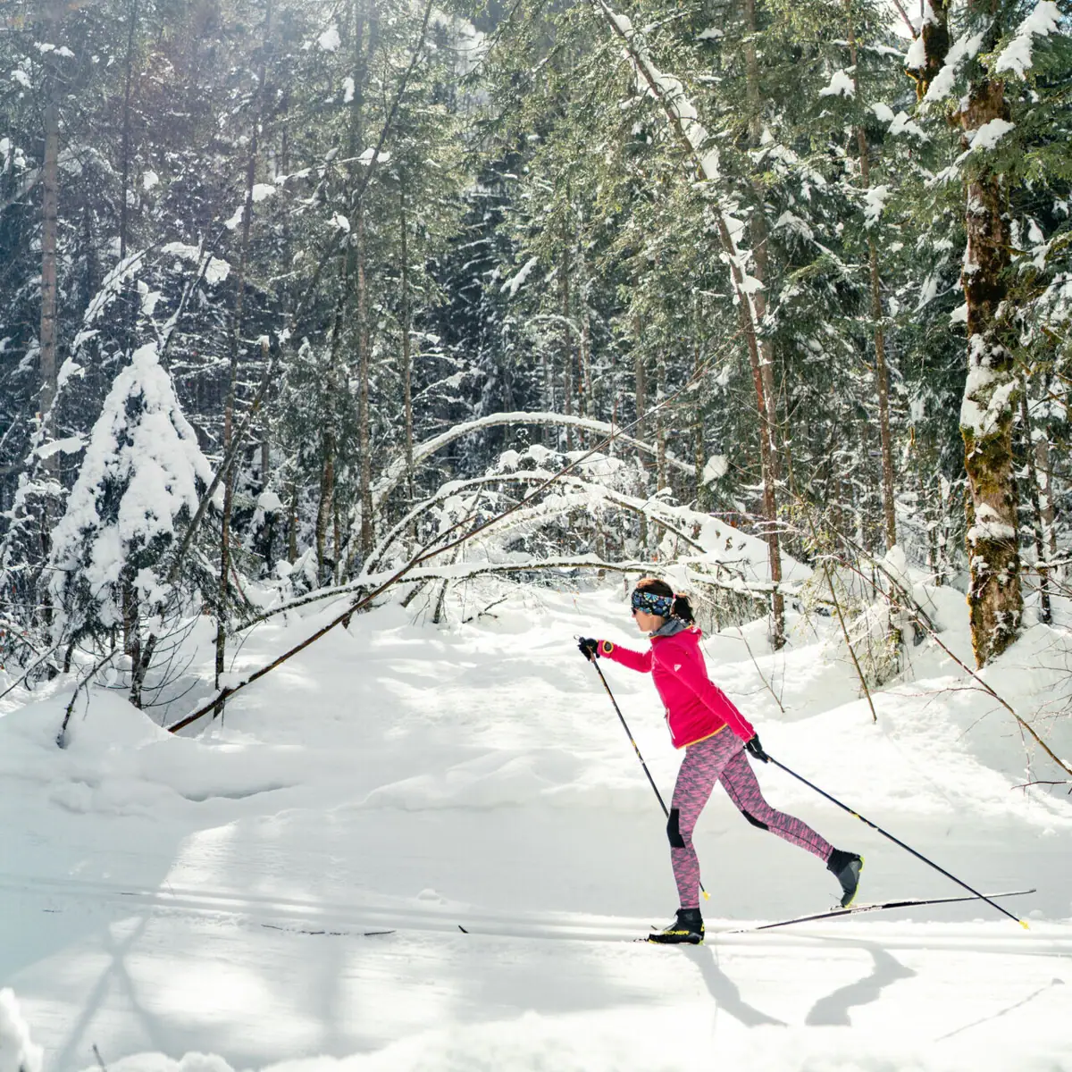 Cross-country skiing A woman cross-country skiing in the snow.