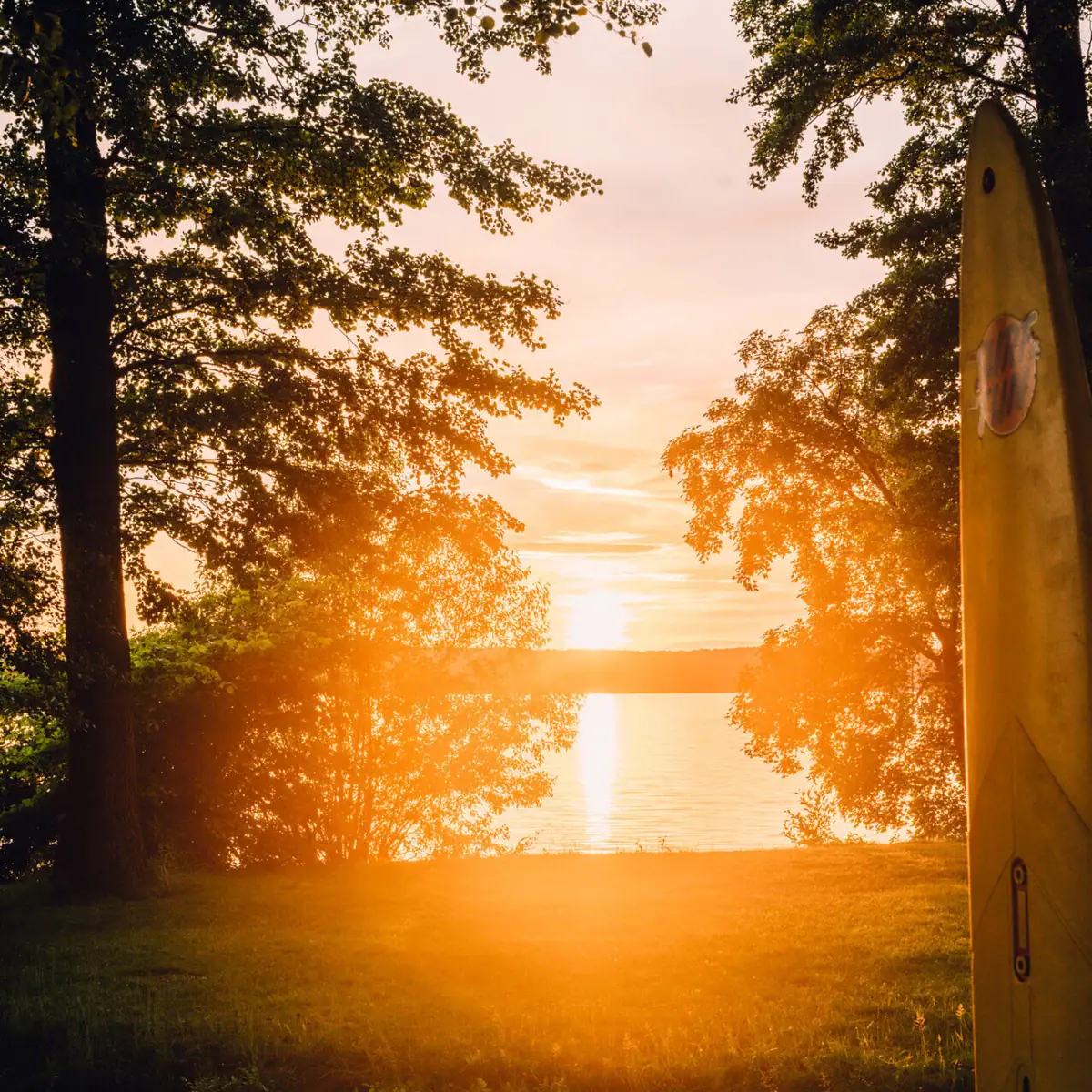 Sun by the lake A surfboard in front of a body of water at sunset.