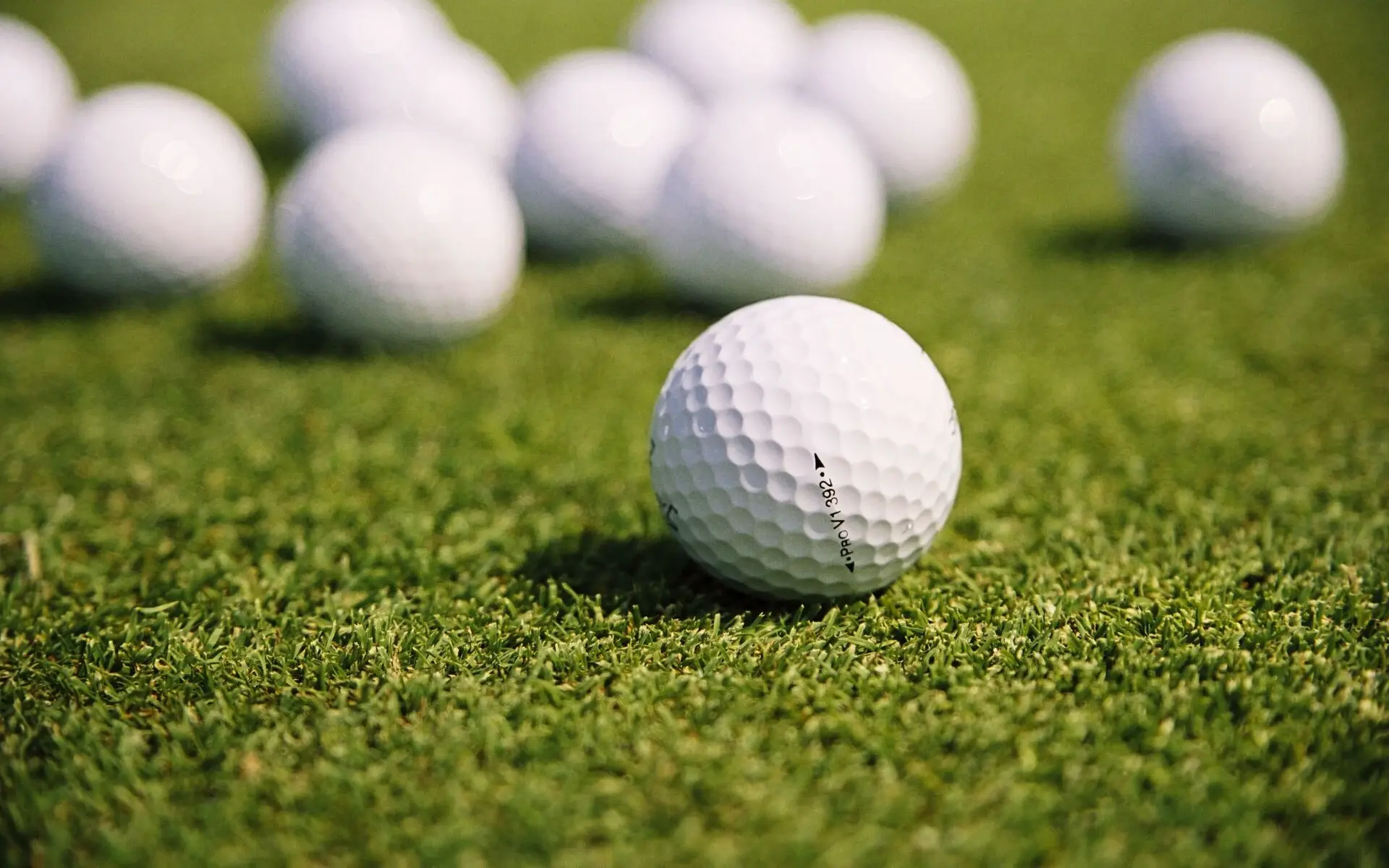 Several golf balls lie on the grass.