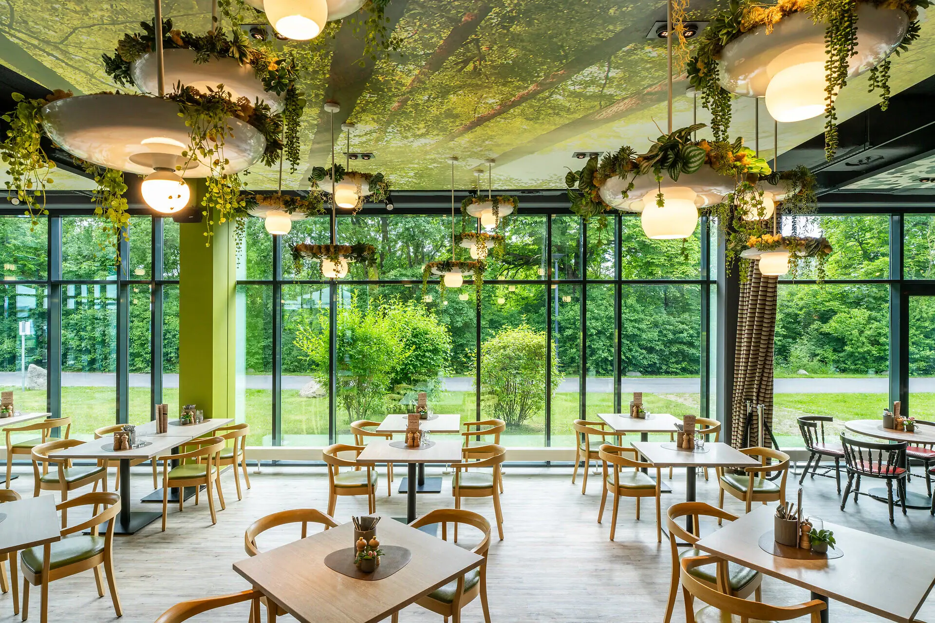 A room with tables, chairs and plants hanging from the ceiling.