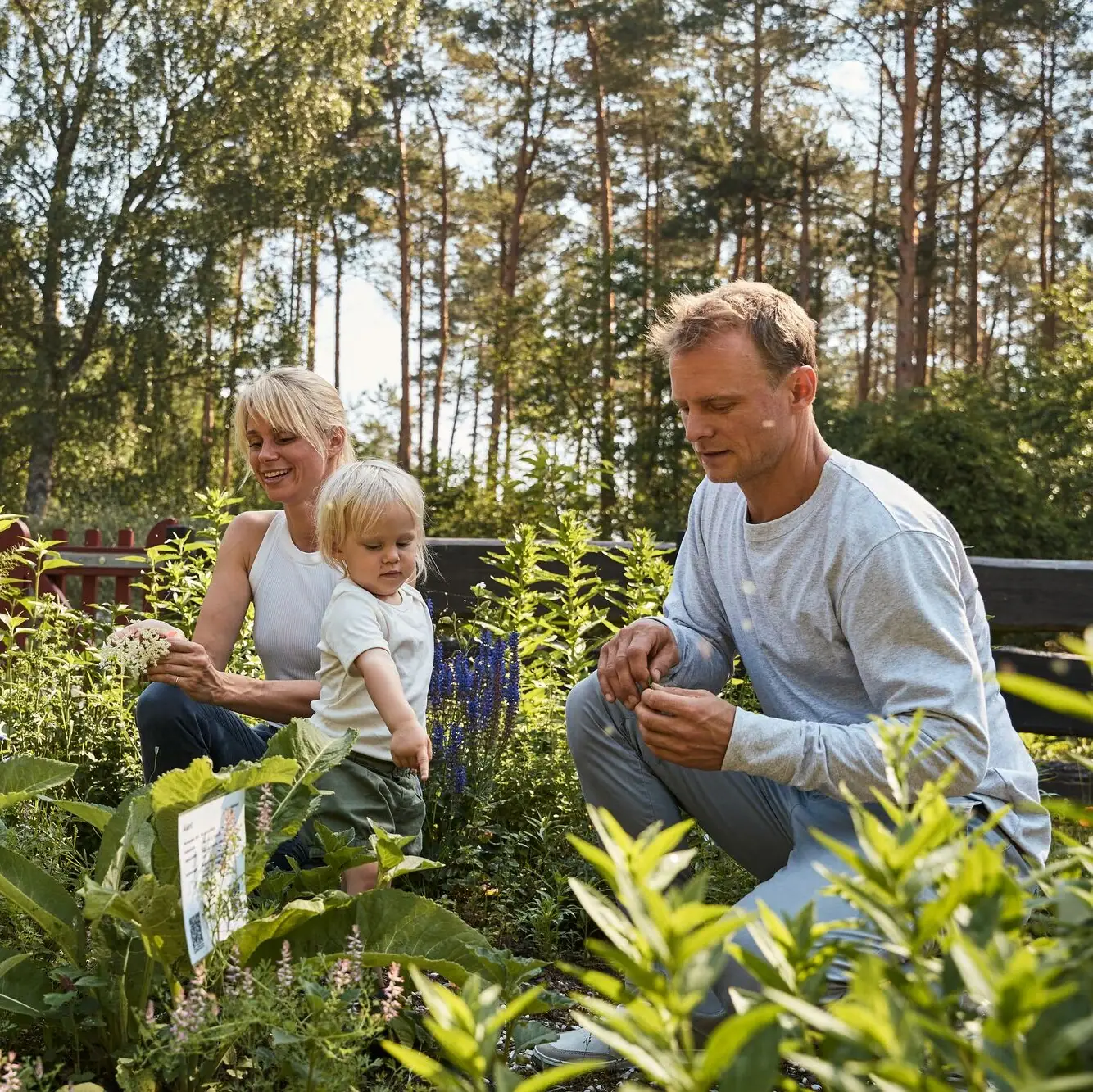 A group of people in a garden.