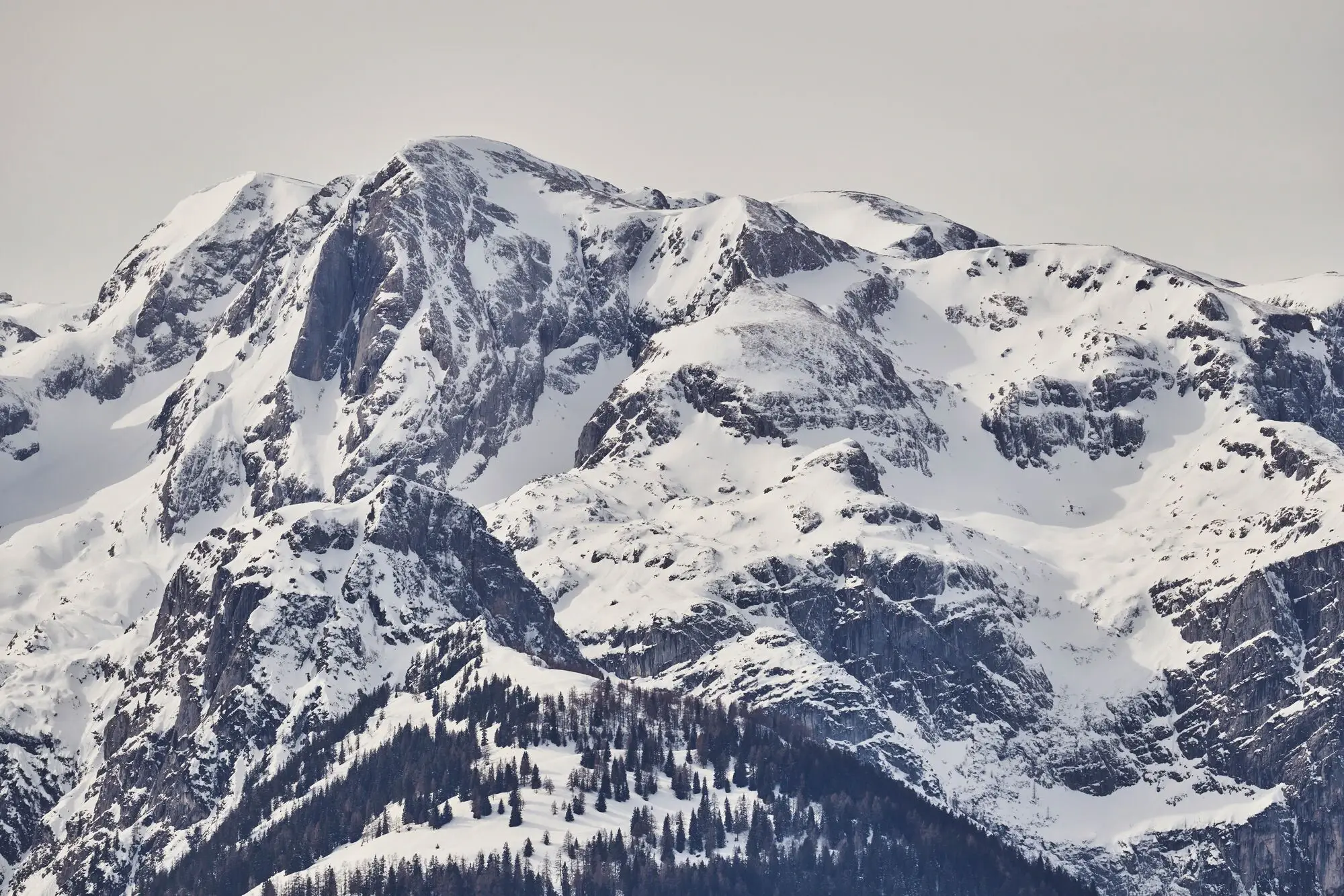 Snowy mountain with trees