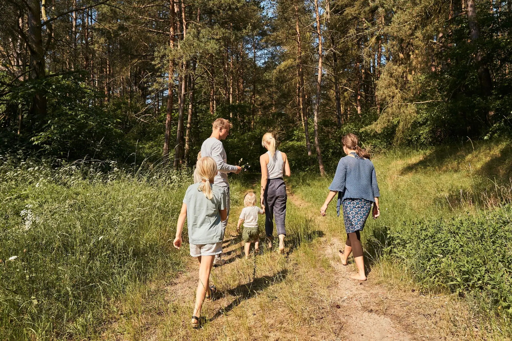 A group of people are walking along a forest path.