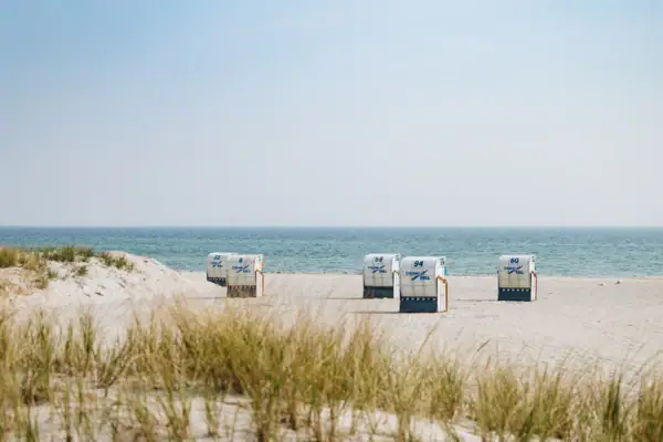 A group of white beach chairs on the beach.