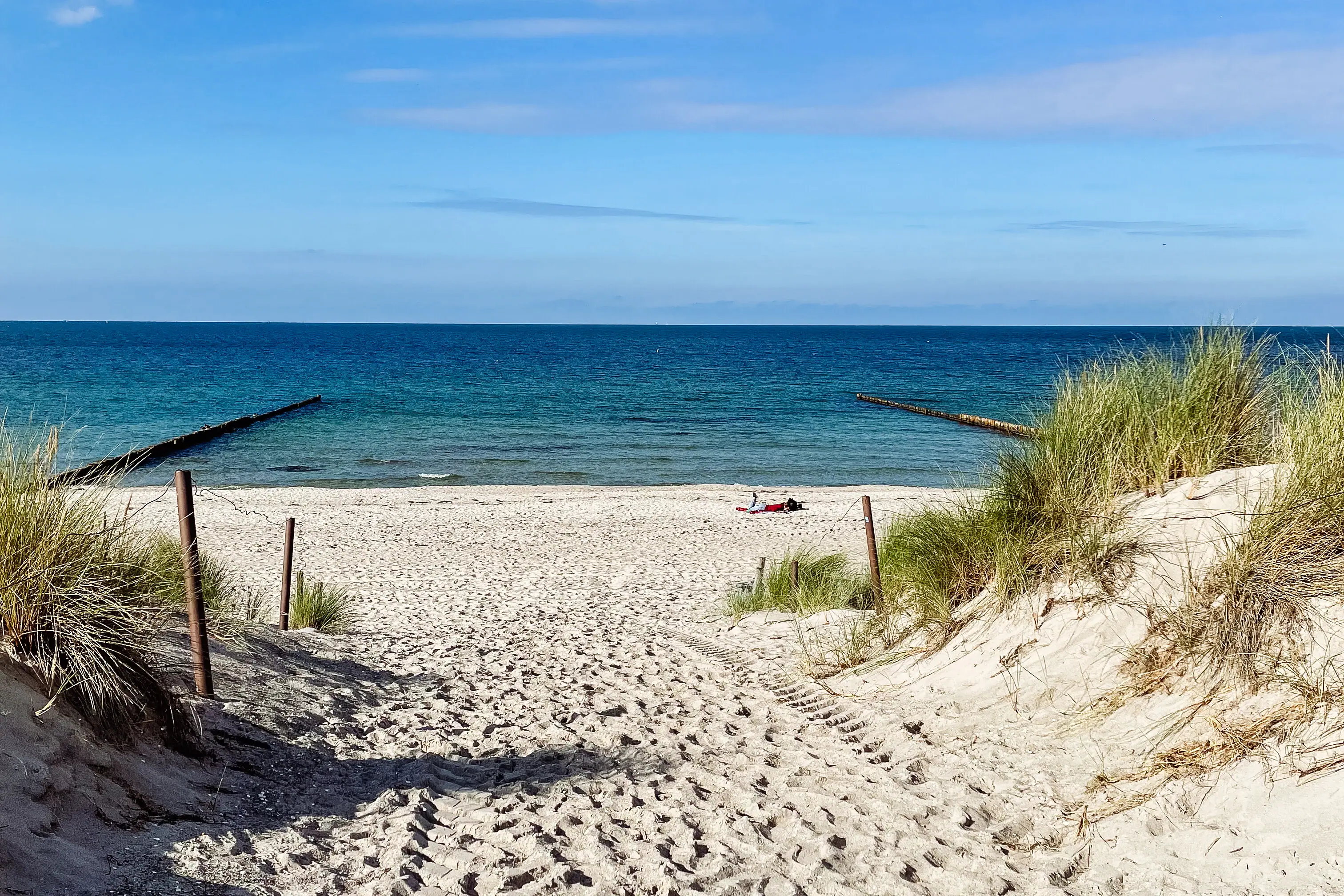 Sandy beach with grass and blue water