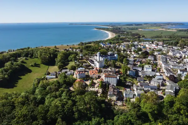 An aerial view of a town by the water, with houses and trees.