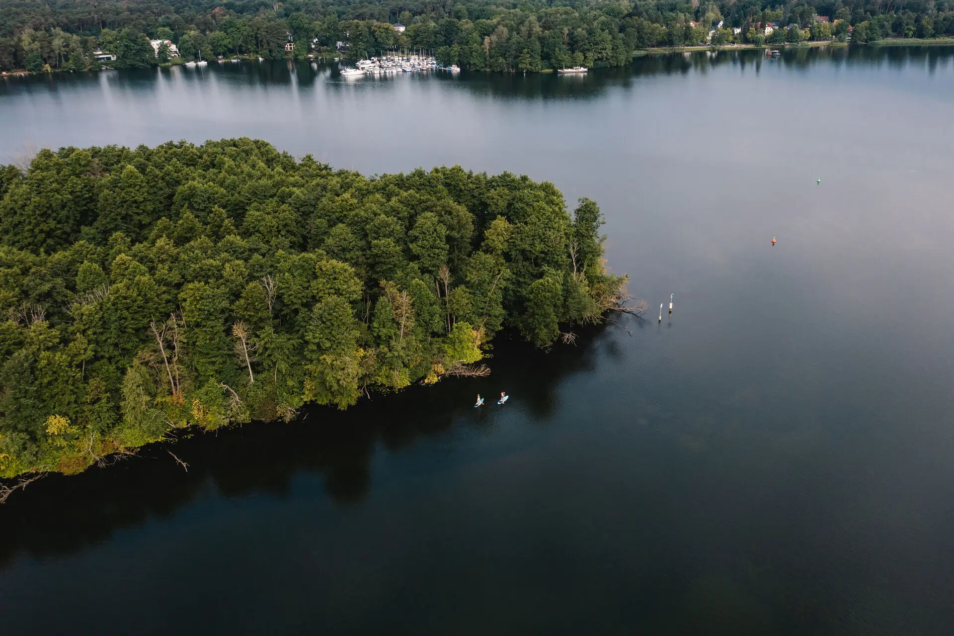 A small island with lots of trees juts out into a lake