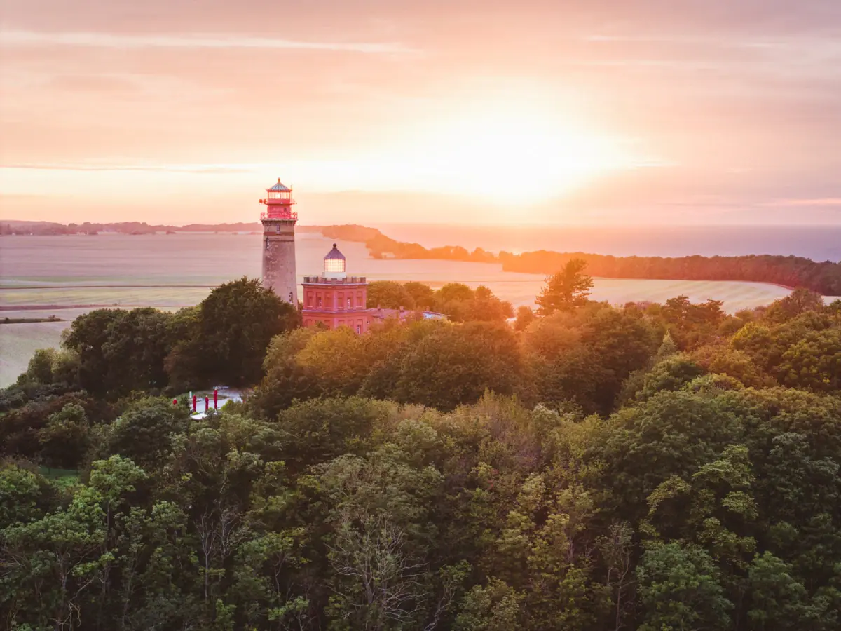 Lighthouse in the middle of a forest